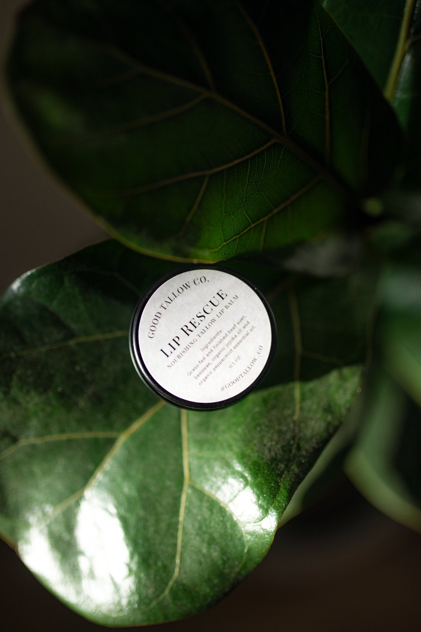 Lip Rescue Tallow Lip Balm by Good Tallow Co.